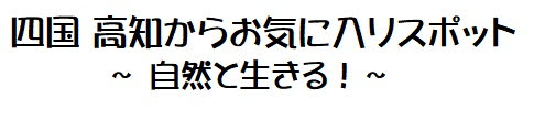 四国 高知からお気に入りスポット〜自然と生きる！〜