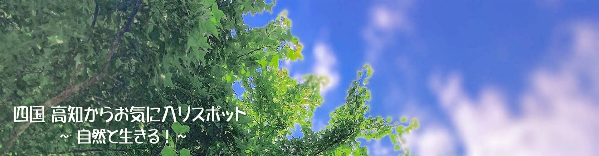 四国 高知からお気に入りスポット〜自然と生きる！〜